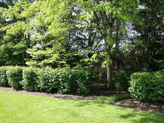 5th image of 605 Orchard Pond Dr