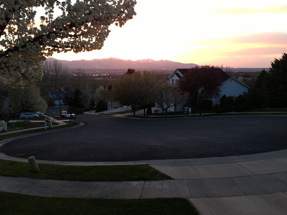 View From the Front Door