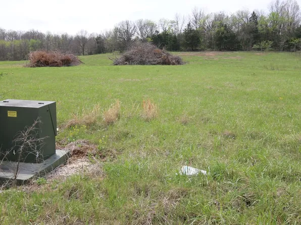 River Pass Dr, Marshfield, MO 65706