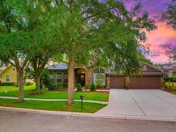 5825 Terncrest Dr, Lithia, FL 33547