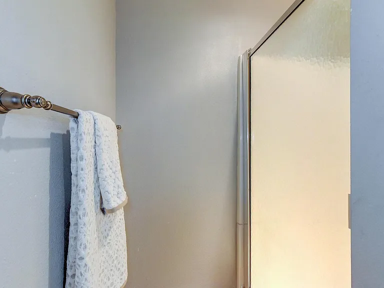 Lower level Bathroom Shower