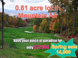 0 Dryspring Loop #157, Burnsville, NC 28714