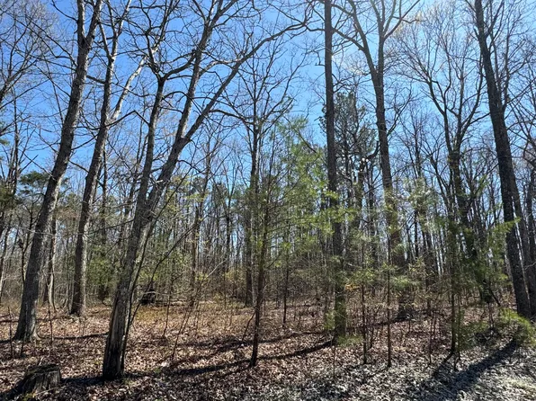 0 W Bluff Rd, Pikeville, TN 37367