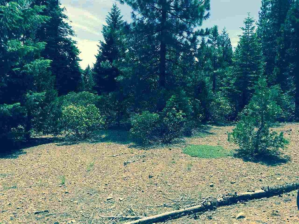 2nd image of 1270 Lodgepole Trl