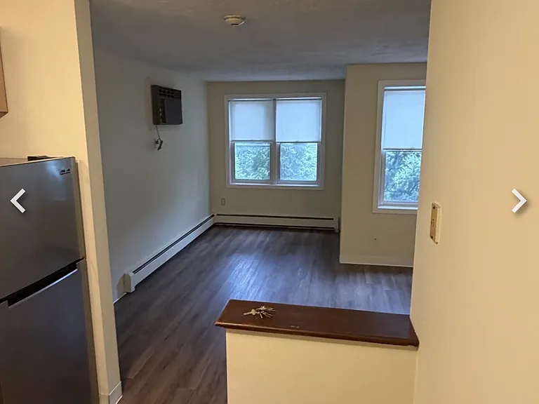 17 Blossom St #2 — Photo 13