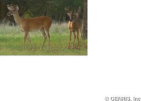 2nd image of 6660 Cayward Rd