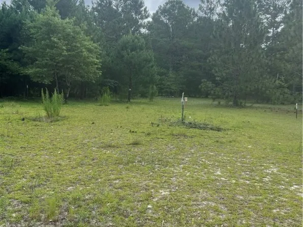 Ella Maes Dr, Saint Pauls, NC 28384