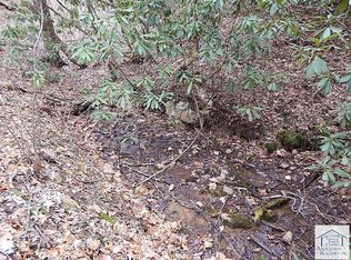 Lee Elgin Rd, Woolwine, VA 24185