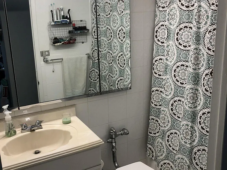 3600 N Lake Shore Dr #1525 — Photo 9