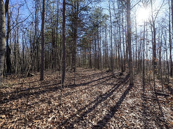 3rd image of Wright Rd