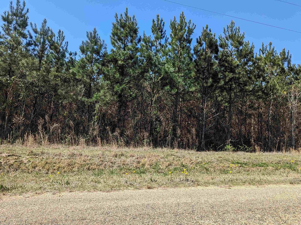 2nd image of Ouachita #5