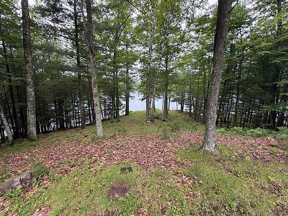 5th image of 8157 Denoyer Dr