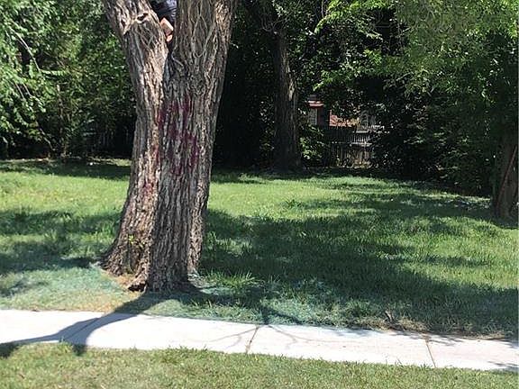 3rd image of 3309 SW 46th St