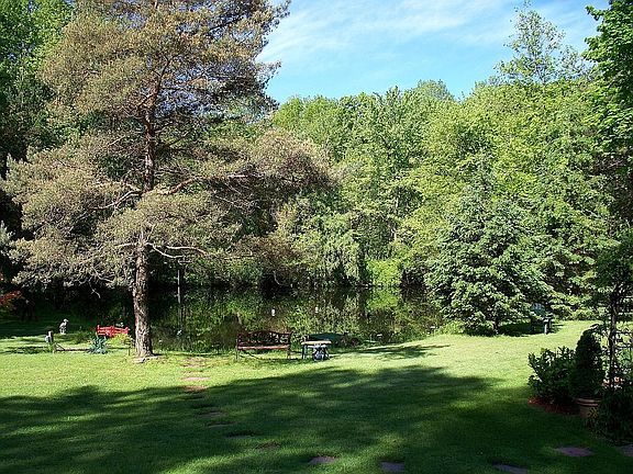 Pond View1