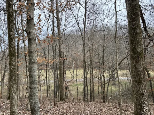 0 Cathcart Rd Lot 4, Frankewing, TN 38459