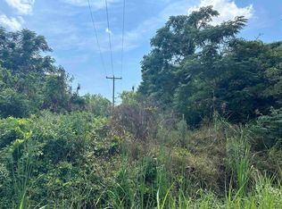 Old Train Rd, Greeleyville, SC 29056