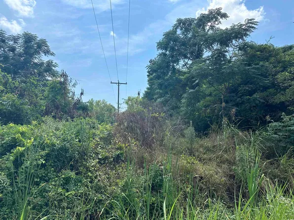 TBD Old Train Rd., Greeleyville, SC 29056