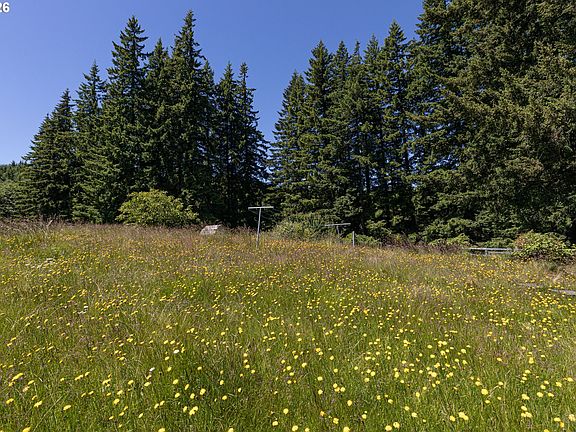 4th image of 27546 Clark Rd