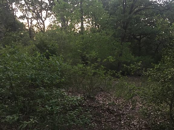 3rd image of 185 Lake Leaf Dr