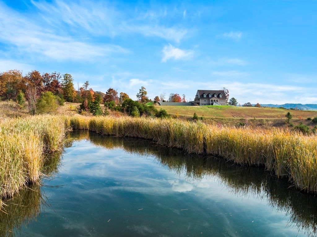 Real estate listing image
