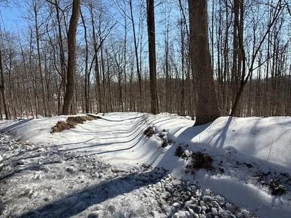 Boonsboro Mount Rd, Myersville, MD 21773