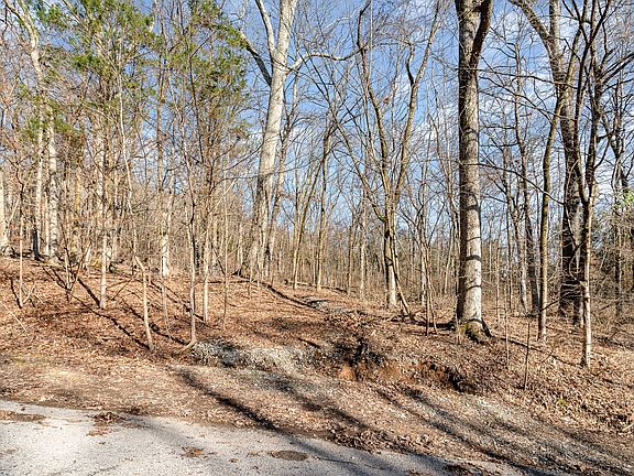 3rd image of 1009 Scramblers Knob Lot 34