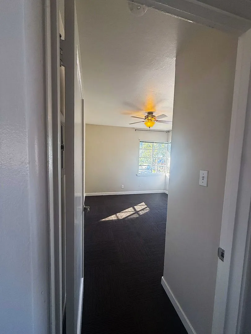 Das 647 — Photo 2