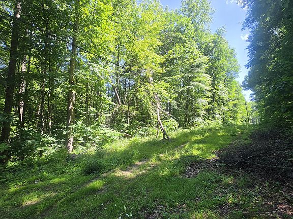 3rd image of Tbd Forest Rd