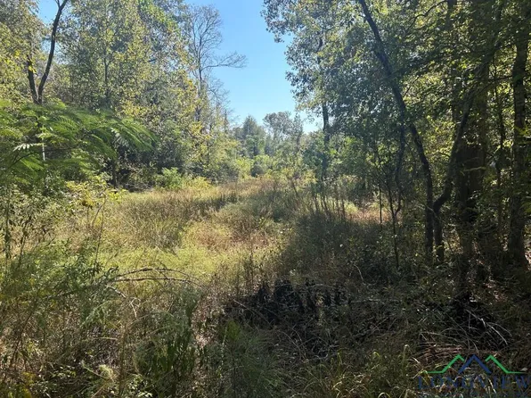 County Road 309, De Berry, TX 75639