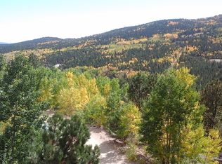 6551 Virginia Canyon Rd, Central City, CO 80427