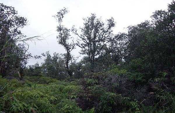 1st image of Road 5 Lot 3803