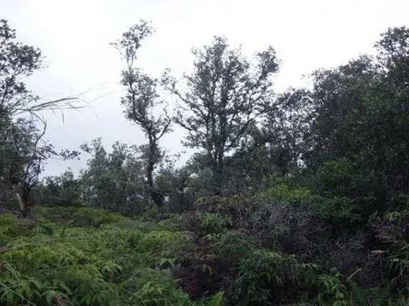 Road 5 Lot 3803, Kurtistown, HI 96760