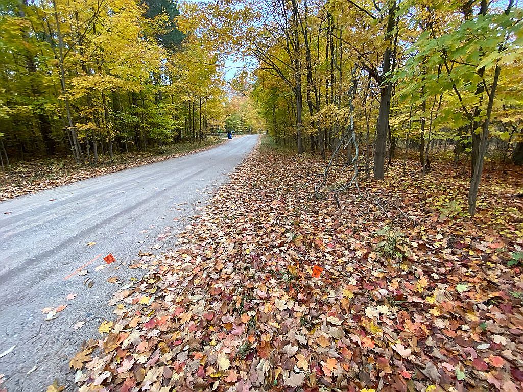 0 Way Rd, Honor, MI 49640 Zillow