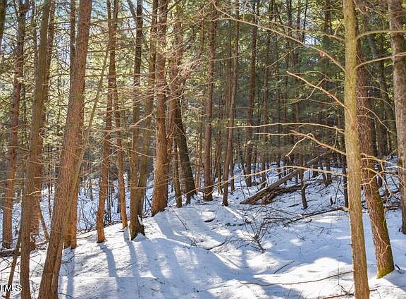 2nd image of 22 Carriage Knolls Road