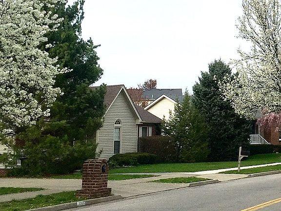 Street in full spring bloom