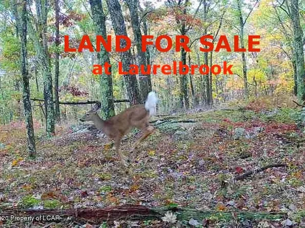 Twinbrook Rd, Wilkes Barre, PA 18702