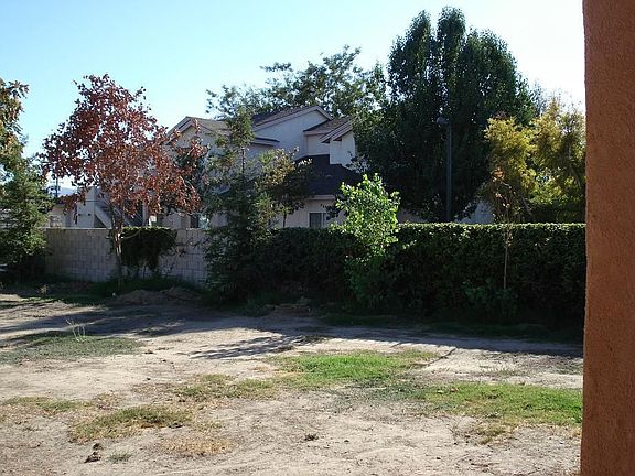 Trees Along Backyard Fence