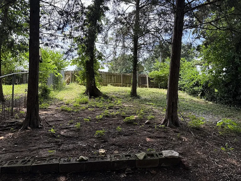 2216 Live Oak Ln — Photo 13