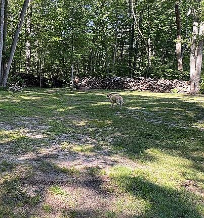 5th image of 2510 Bonnie Mae Rd