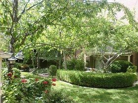 1st image of 1202 Cottonwood Hills Dr #304