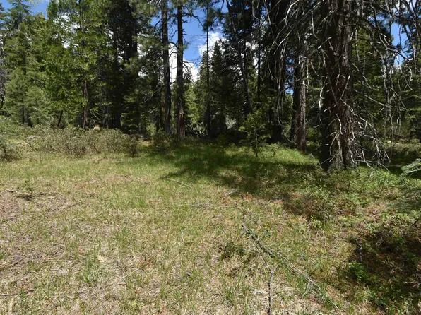LOT 11 Fumarole Ct, McCloud, CA 96057