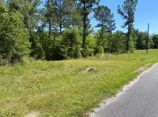 168th Ter LOT 4, Wellborn, FL 32094