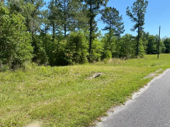 168th Ter Lot 4, Wellborn, FL 32094