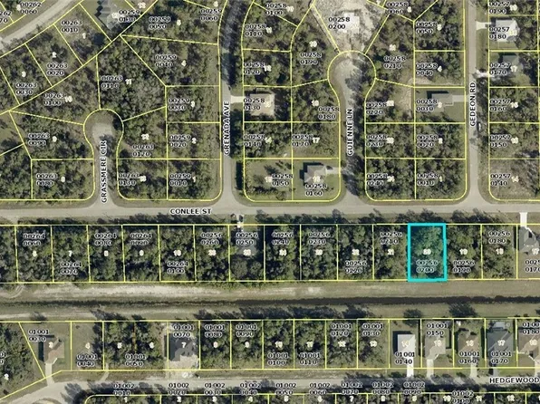 480 Conlee St, Lehigh Acres, FL 33974