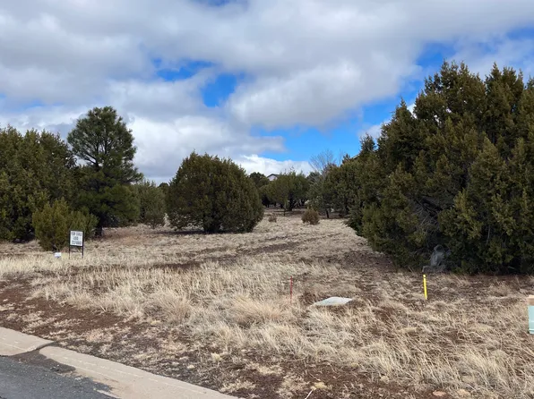 641 S Rock Creek Dr, Show Low, AZ 85901