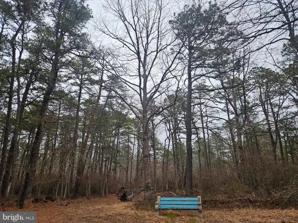 Deerwood Ave, Milmay, NJ 08340