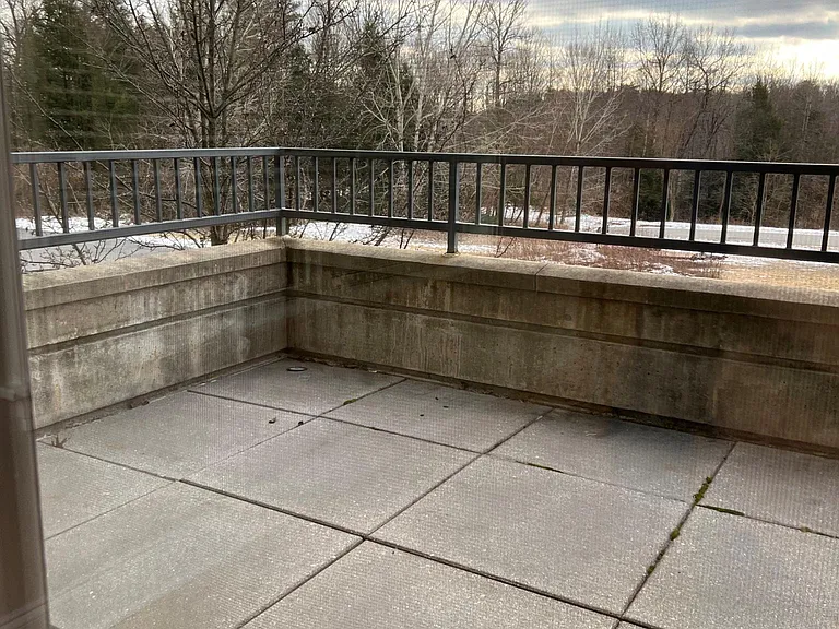 Patio looking out to Spring Run Preserve and trail