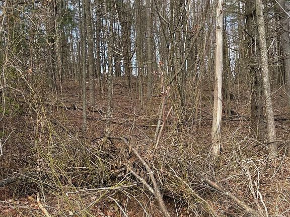 3rd image of Corner Miller Lane & Locust Ridge Rd