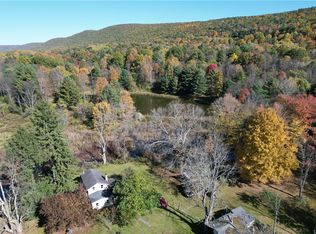 195 Hillview Rd, Spencer, NY 14883