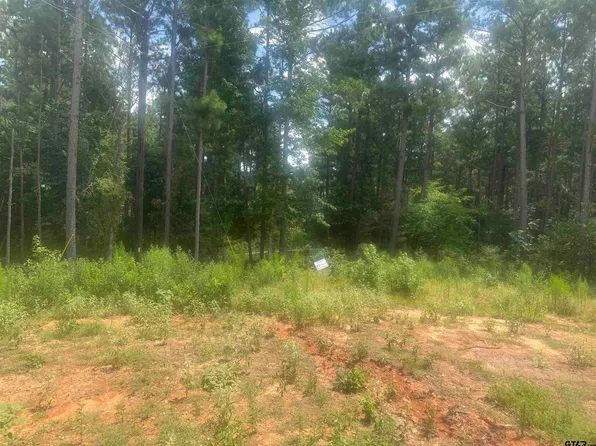 LOT 13 Private Road 7949, Hawkins, TX 75765